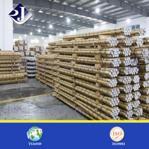 Varillas roscadas, acabado zinc blanco, M10, 2,0 m de longitud, venta caliente en Rusia 