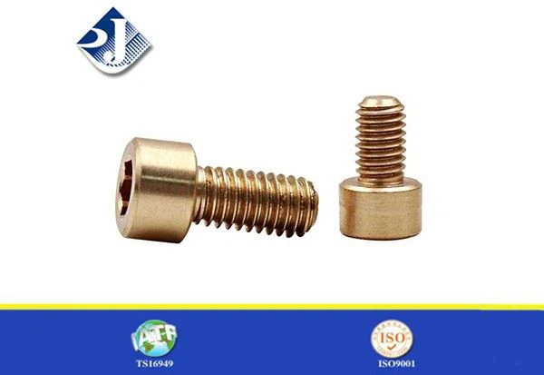Hex Socket Head Bolts